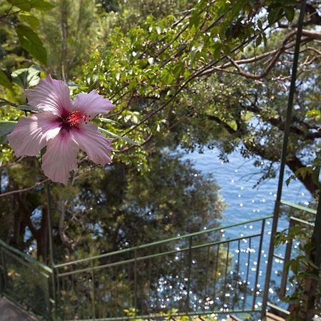 Amore Rentals - Villa Lo Scoglio โปซิตาโน ภายนอก รูปภาพ